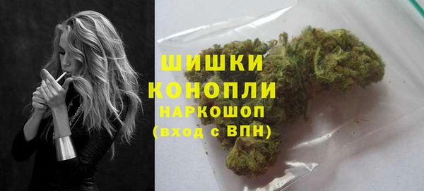 2c-b Инсар