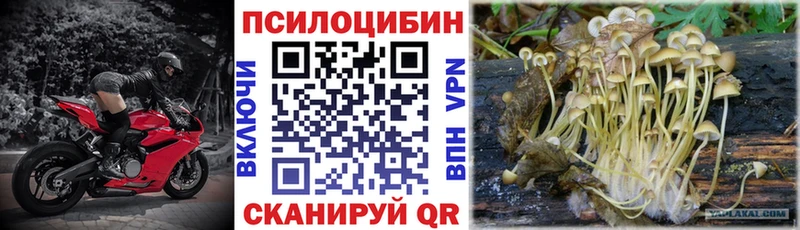 что такое   площадка Telegram  Галлюциногенные грибы MAGIC MUSHROOMS  Стародуб 